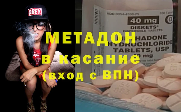 прущие грибы Абаза