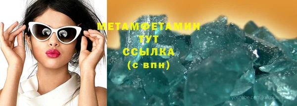 прущие грибы Абаза