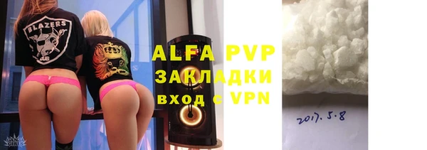 прущие грибы Абаза