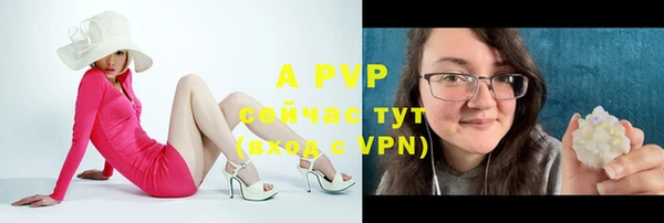 прущие грибы Абаза