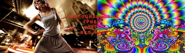 прущие грибы Абаза
