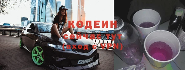 прущие грибы Абаза