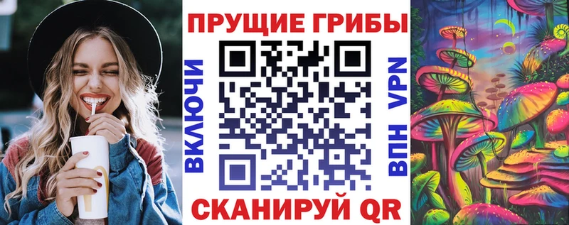Псилоцибиновые грибы Psilocybe  KRAKEN ТОР  Новочебоксарск 